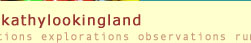 email kathy Lookingland